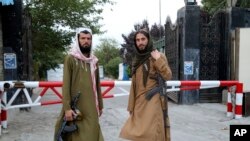نیروهای طالبان در افغانستان. آرشیو