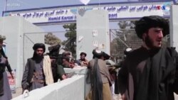 Աֆղանստանի նոր կառավարությունը կարող է դառնալ Թալիբանի համար գլխավոր քննություն