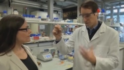 Գիտնականները մոտ են արհեստականորեն մարդկային կյանք ստեղծելու գաղափարի իրականացմանը