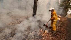 A firefighter uses a rake to move burning debris as he battles a fire near Burrill Lake, Australia, Sunday, Jan. 5, 2020. (AP Photo/Rick Rycroft)