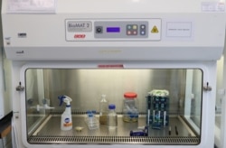FILE - A lab is pictured in the Roslin Institute in Edinburgh, Scotland, amid the outbreak of the coronavirus disease (COVID-19), May 13, 2020.