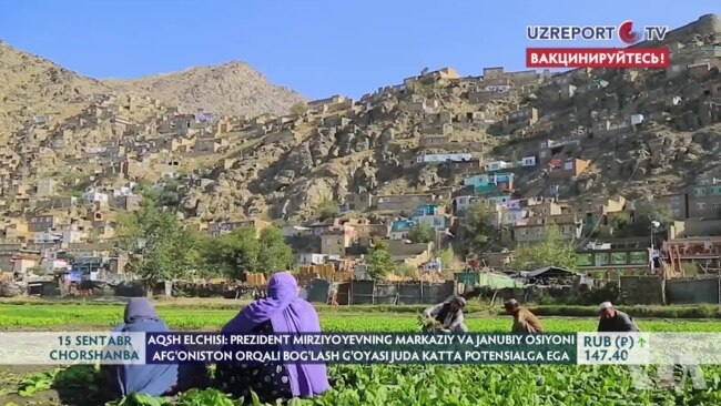 Elchi Rozenblum: Afg'onistondagi loyihalarga nima bo'ladi?