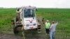 WHO: Thuốc diệt cỏ Roundup 'có thể' gây ung thư
