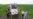 WHO Agency: Weed Killer Ingredient 'Probably' Causes Cancer