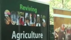 Somalia yafufua kilimo baada ya miongo kadhaa ya vita