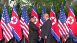 Кім Чен Ин чудова людина? Північно-корейські біженці відповіли Трампу. Відео