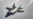 资料照片：隶属于美国空军第48战斗机联队的F-35“闪电II”战斗机在“近距离射击”演习期间飞越北海。（2026年1月29日）