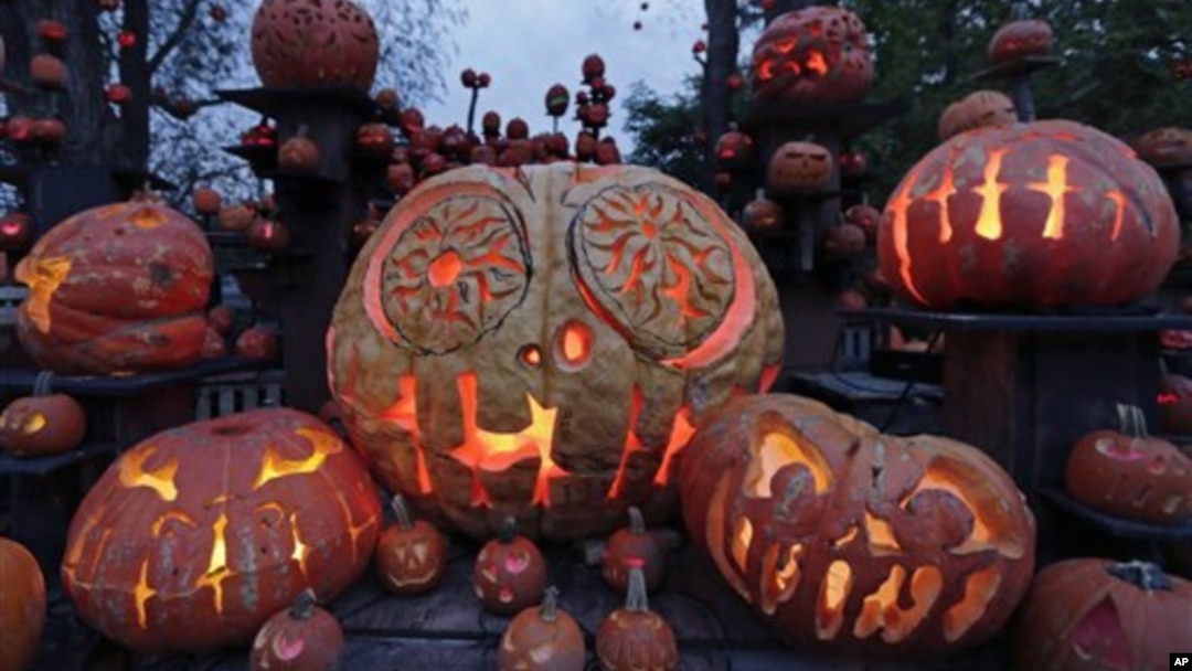 Buah-buah labu yang sudah diukir dan di dalamnya diberi lilin yang dinyalakan, sehingga seperti lentera yang disebut Jack O’Lanterns untuk perayaan Halloween (foto: dok).