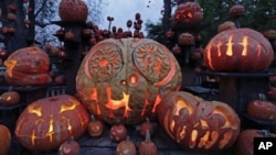 Buah-buah labu yang sudah diukir dan di dalamnya diberi lilin yang dinyalakan, sehingga seperti lentera yang disebut Jack O’Lanterns untuk perayaan Halloween (foto: dok).