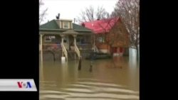 Lehî li Montreal a Keneda