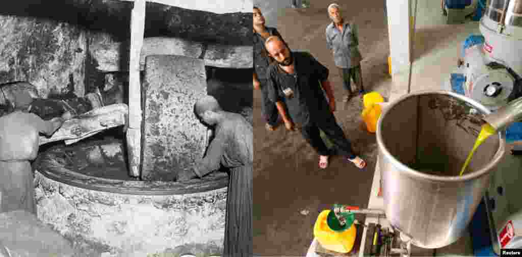 Palestinian olive oil production (L) Nablus, c. 1903, Library of Congress (R) Factory, Deir al-Balah, Gaza, 3 October 2010. Reuters/Ibraheem Abu Mustafa.