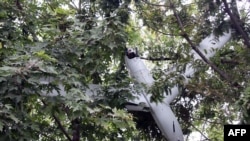 This undated picture released from North Korea's official Korean Central News Agency via KNS on Oct. 19, 2024, shows what is claimed to be a South Korean drone in a tree, found in an area of Pyongyang. 