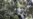 Pyongyang says it has recovered remains of South Korean drone
