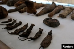 اجساد مومیایی شده موش و باز - ۵ آوریل ۲۰۱۹