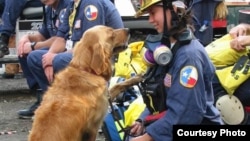 A photo of golden retriever Bretagne and her handler, Denise Corliss. (Barkpost.com)