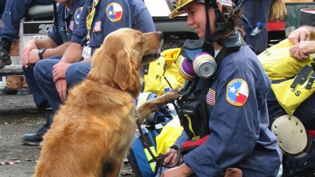 Last Known Living 9/11 Rescue Dog Honored