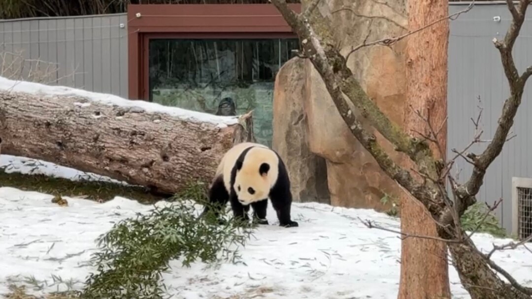 184ac6e2-fd8d-4e01-8899-