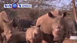 VOA60 África 2 de Outubro 2013