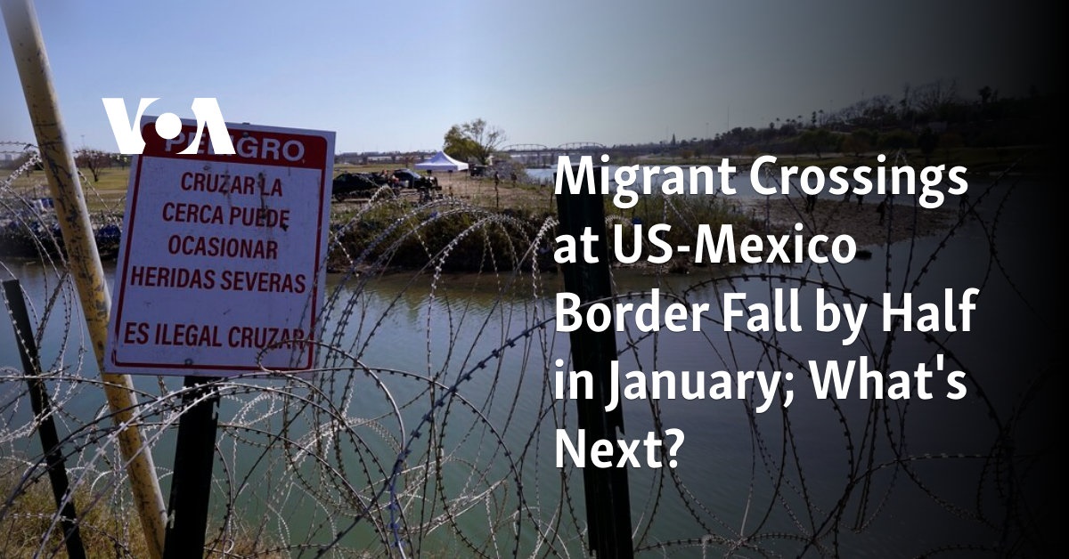 Migrant Crossings at US-Mexico Border Fall by Half in January; What's Next?