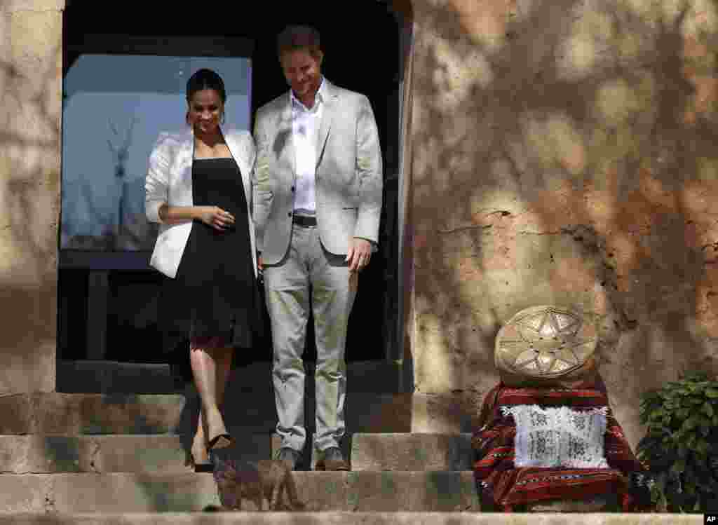 Britain's Prince Harry and Meghan, Duchess of Sussex, look down at a cat during a visit to a Social Entrepreneurs event and market in Rabat in Morocco.