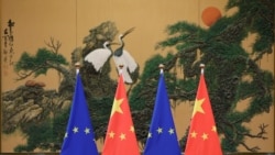米歇爾和習近平通話後 中國同意與歐盟舉行峰會