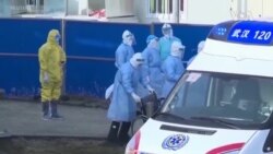 中國新冠肺炎死亡人數逾800人已超過沙士