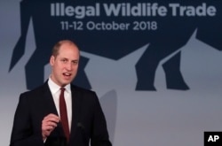 Britain's Prince William gestures as he makes speech at the Illegal Wildlife Trade Conference in London, Oct. 11, 2018.
