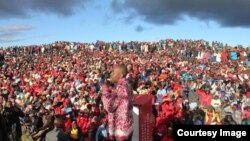 VaNelson Chamisa-Gutu