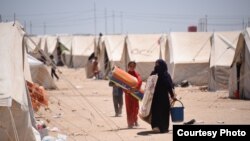 Newly arrived Iraqis from Fallujah collect emergency aid distributed at Amariyat al-Fallujah displacement camp. Photo: Karl Schembri/NRC