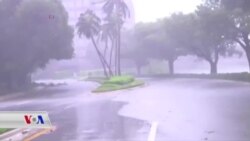 Piştî Irma, Florida li Benda Alîkarî Ye