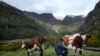 Emerson Camargo ordeña vacas cerca del volcán Nevado del Ruiz, de fondo, en Villahermosa, Colombia, el 11 de abril de 2023. 