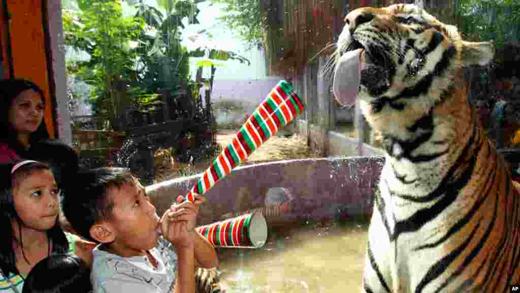 Des enfants jouant avec un tigre derrière une vitre 