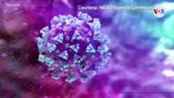 Alarma mundial por nueva cepa de coronavirus