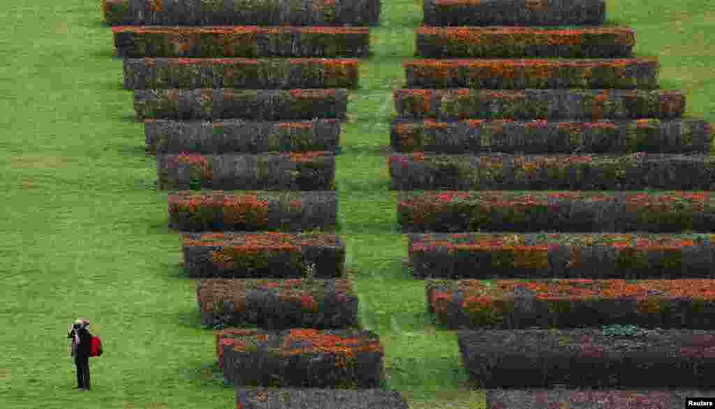 A person takes a picture as he walks through a public garden in Berlin, Germany.