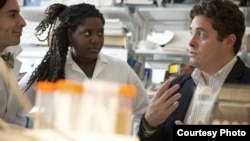 Michael King (r) Cornell professor of biomedical engineering and the study’s senior author, works with students in lab.