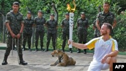 Seorang atlet memegang Obor Olimpiade di sebelah macan tutul dalam sebuah upacara di Manaus, Brazil utara (20/6). 