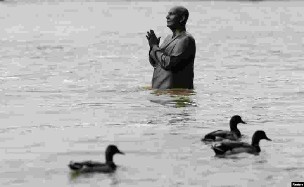 Ducks waddle past the statue of world harmony leader Sri Chinmoy, partially submerged by the water from the rising Vltava river, in Prague, Czech Republic. 