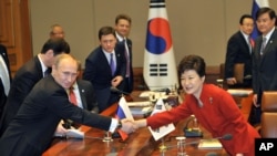 Russian President Vladimir Putin, left, shakes hands with South Korean President Park Geun-hye during their meeting at the presidential Blue House in Seoul on Wednesday, Nov. 13, 2013. 