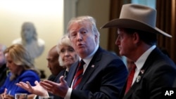 President Donald Trump leads a round-table discussion on border security, Jan. 11, 2019, in the Cabinet Room of the White House in Washington.