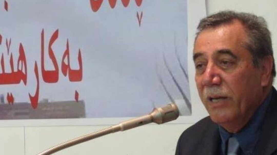 ئاریز داراپوور، چالاکی سیاسی