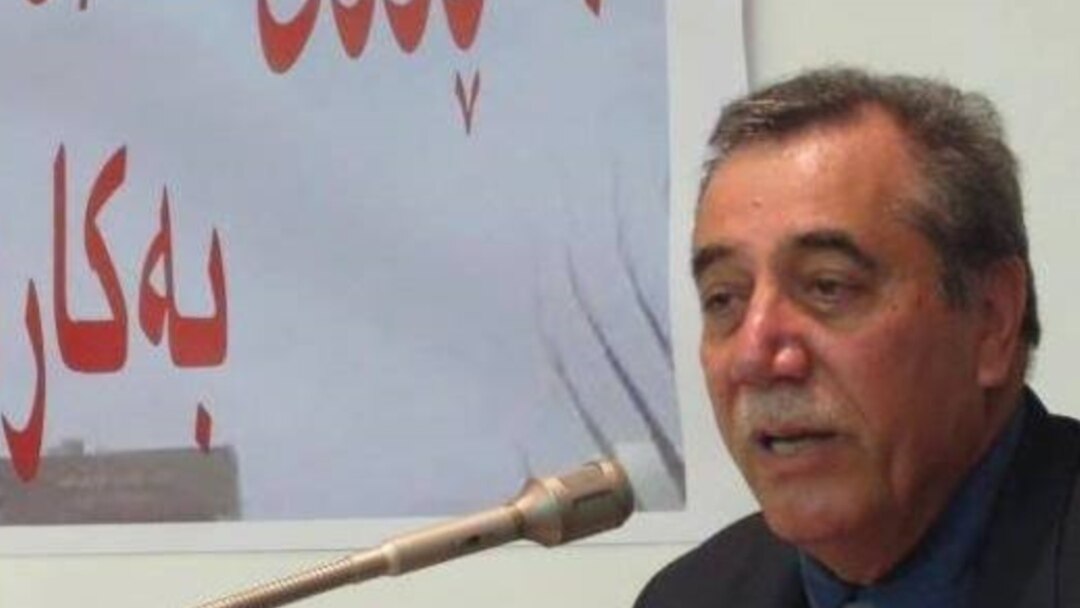 ئاریز داراپوور، چالاکی سیاسی