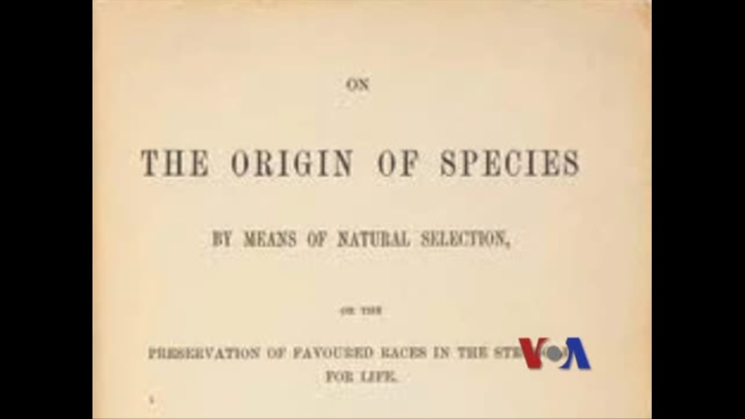 創立40周年史 逆説的進化論 創立40周年史 逆説的進化論