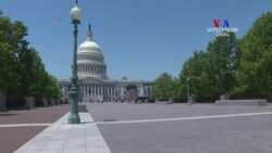 Մյուլերի հետաքննության շուրջ քաղաքական սկանդալները