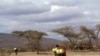 Somalia: Drought Brings Water Shortages, High Food Prices