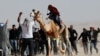 A man rides on a camel as members of Israel's Bedouin Arab minority and other Israelis race camels as part of an initiative to help preserve Bedouin culture, near Ashalim in southern Israel.