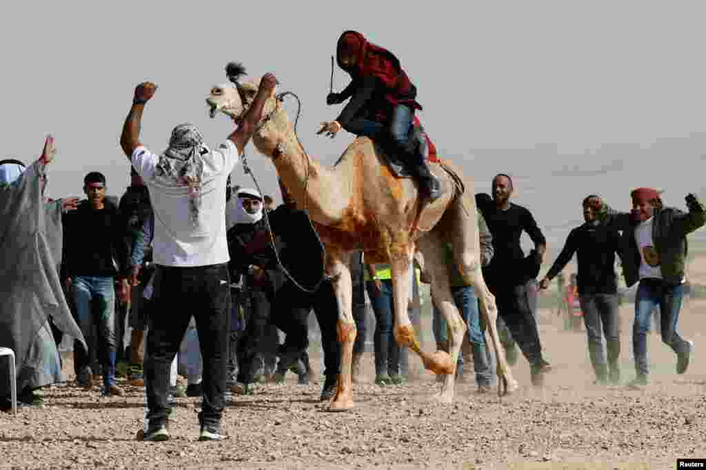 A man rides on a camel as members of Israel&#39;s Bedouin Arab minority and other Israelis race camels as part of an effort to help preserve Bedouin culture, near Ashalim in southern Israel.