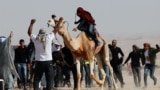 A man rides on a camel as members of Israel's Bedouin Arab minority and other Israelis race camels as part of an initiative to help preserve Bedouin culture, near Ashalim in southern Israel.