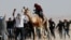 A man rides on a camel as members of Israel's Bedouin Arab minority and other Israelis race camels as part of an initiative to help preserve Bedouin culture, near Ashalim in southern Israel.