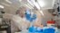 Un technicien travaille dans un laboratoire de séquençage au laboratoire de sciences moléculaires du département de la santé publique et de l'environnement du Colorado à Denver.