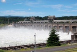 FILE - Water flows through the Bonneville Dam near Cascade, Oregon, June 27, 2012.